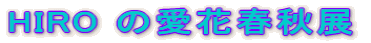 HIRO ̈ԏtHW